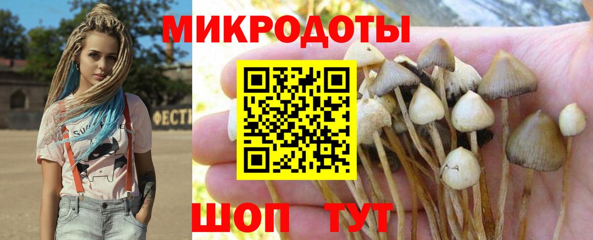 Псилоцибиновые грибы Psilocybe  Галлюциногенные грибы Psilocybe  Псков  Вход с VPN 